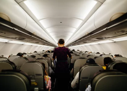 Flight Attendant, Stewardess, Passengers, Airplane, Aviation